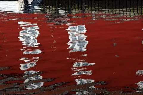 Reflection in water. The red building is reflected in the water Stock Photos