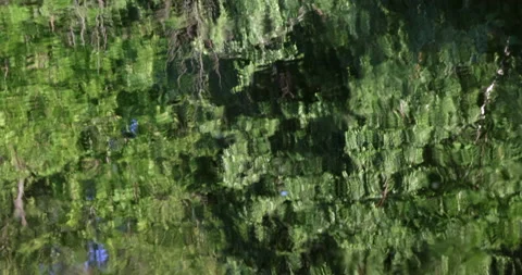 Reflection water with ripples Stockbeeldmateriaal 198486481