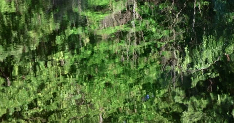 Reflection water with ripples 库存影片 198490081