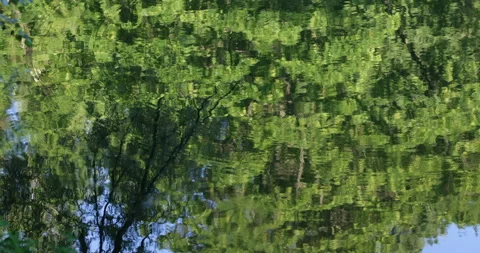 Reflection water with ripples Stockbeeldmateriaal 198490300