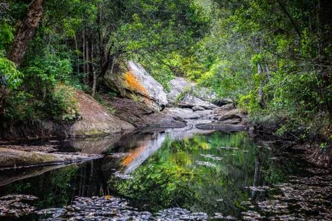 Reflection water of rock pond inside tropical rainforest. Foto stock