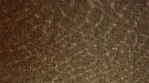 Reflection of water on rusty iron. Stock Footage 49326546