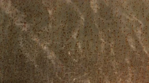 Reflection of water on rusty iron. Stock Footage 49326681