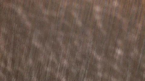 Reflection of water on rusty iron. Stock Footage 49326758