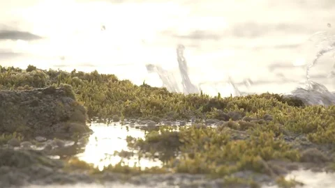 Reflection in water on the shore Stock Footage 80222548