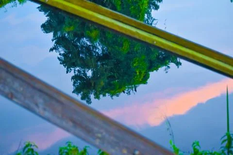 Reflection in the water of a sunset and tree Stock Photos