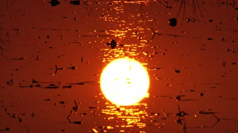 The reflection on the water surface of the big sun at sunset or sunrise. Stock Footage 260668944