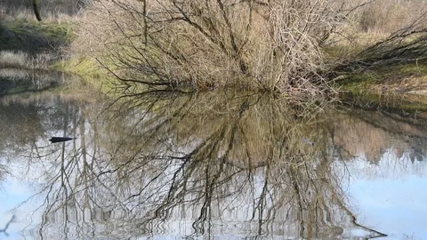 Reflection on the water surface Stock Footage 122685368