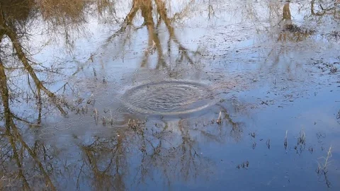 Reflection on the water surface Stock Footage 122685758