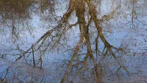 Reflection on the water surface Stock Footage 122685956