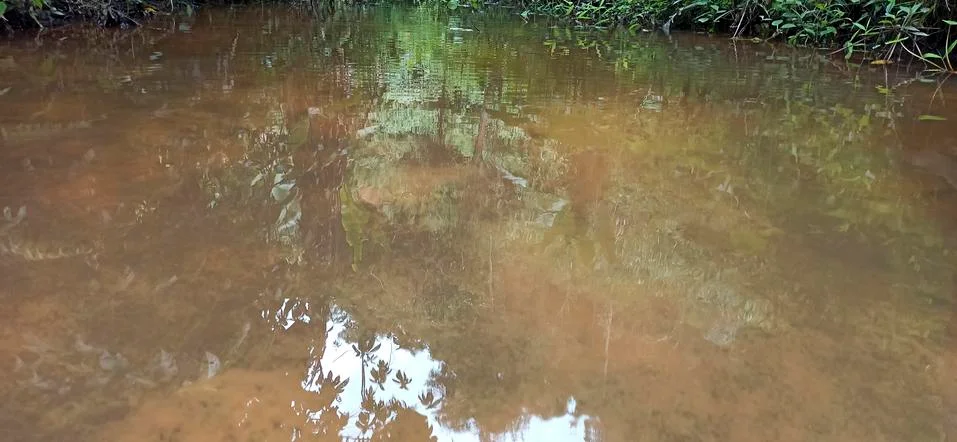 Reflection from the water surface Stock Photos