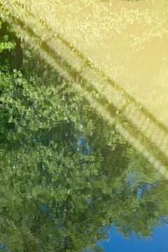 Reflection on water surface. Stock Photos