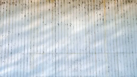 Reflection of water on the wall Stock Footage 86762720