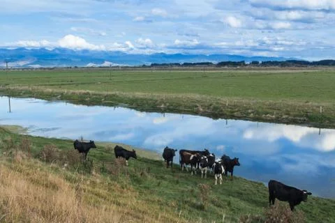 Reflection waters Stock Photos