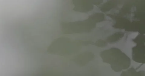 Reflection of waves in water Stock Footage 205448480