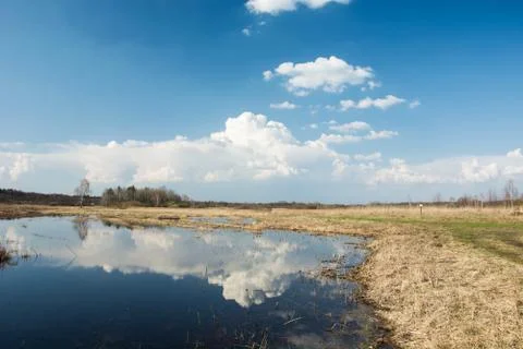 Reflection of white clouds in the water on a meadow and blue sky Stock Photos