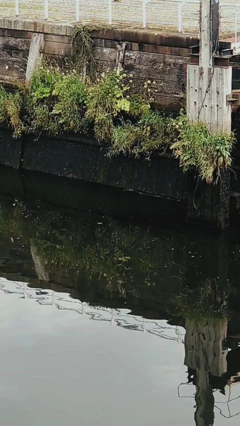 Reflection of wooden support on river surface - Vertical Video Video stock 200400259