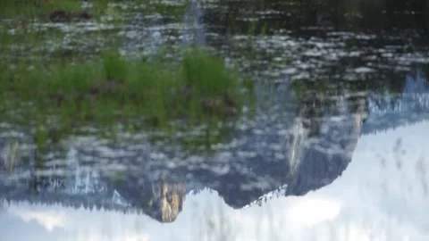 Reflection of Yosemite Point peaks in flooded Yosemite Valley Stock Footage 241194117