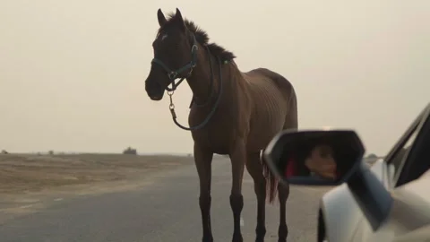 The reflection of a young woman's face in the rearview mirror of an expensive Stock Footage 245937059