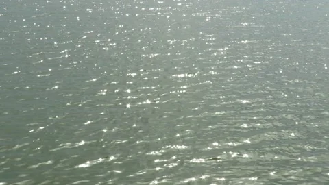 Reflection/glittering of water at ancient manmade lake Thisawewa- Anuradhapura. Stock Footage 159186145