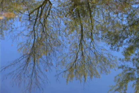 Reflections 1 Stock Footage 22376337