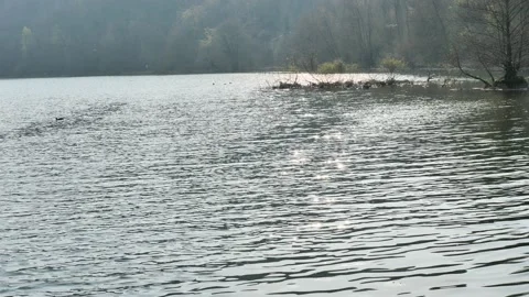Reflections on Adda river Stock Footage 173050928