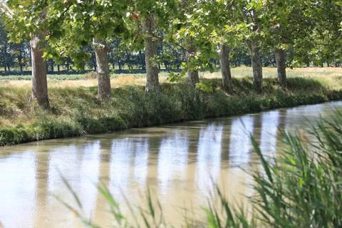 Reflections along a tree-lined river in Southern France Stock Photos