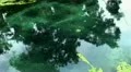 Reflections and moving ground in volcanic water surface Bali Indonesia HD Footage