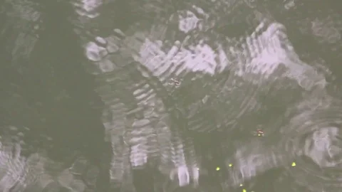 Reflections and Ripples on a stagnant cloudy pond Stock-Footage 79714302