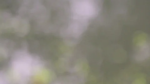 Reflections and Ripples on a stagnant cloudy pond Stock-Footage 79714388