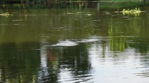 Reflections and ripples on water Stock Footage 320000278