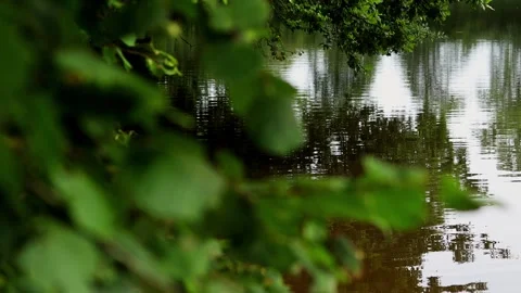 Reflections and waves on a sumemr lake video Stock Footage 248721112