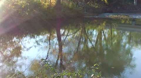 Reflections of Autumn Stock Footage 43222848