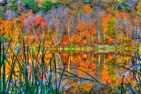 Reflections of autumn in high dynamic range Stock Photos