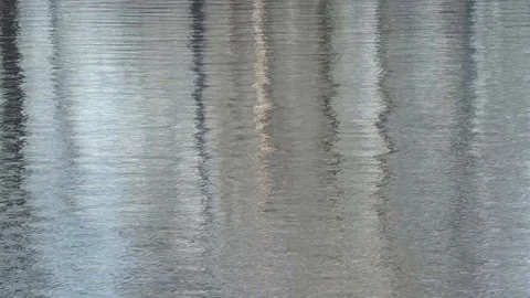Reflections of autumn trees on water surface with ripples Stock Footage 120644126