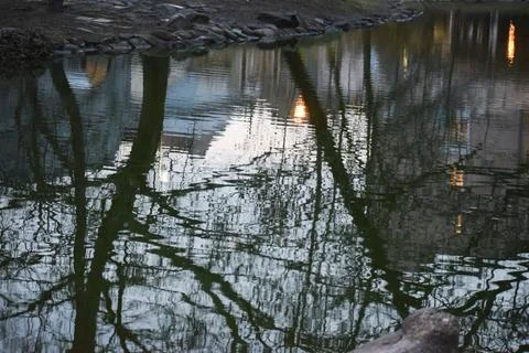 Reflections of bare trees and buildings in rippling water at dusk Stock Photos