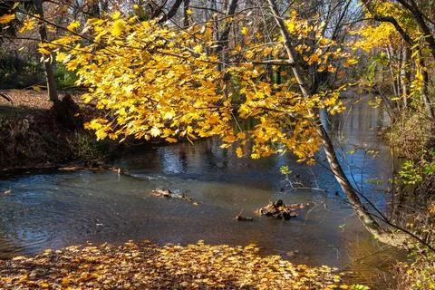 Reflections of Blue Sky and Fall Foliage in a water. Heritage Park parking .. Foto stock