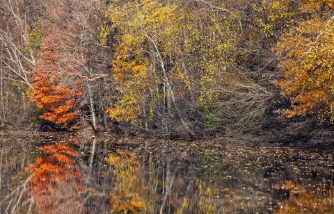 Reflections of Blue Sky and Fall Foliage in a water. Delaware-Raritan Canal.. 写真素材