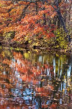 Reflections of Blue Sky and Fall Foliage in a water. Delaware-Raritan Canal.. Foto stock