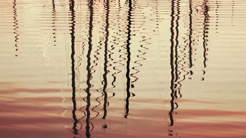 Reflections of boat masts distorted on still marina water during sunset Stock Footage 325753825