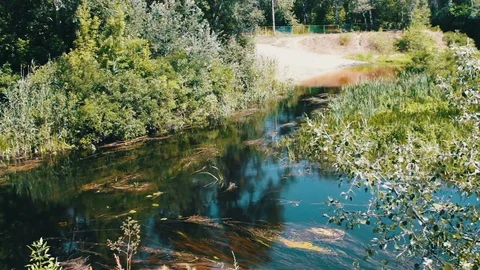 Reflections of branches trees and foliage on the water surface of the river. Stock Footage
