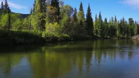 Reflections in calm river Stock Footage 81662877
