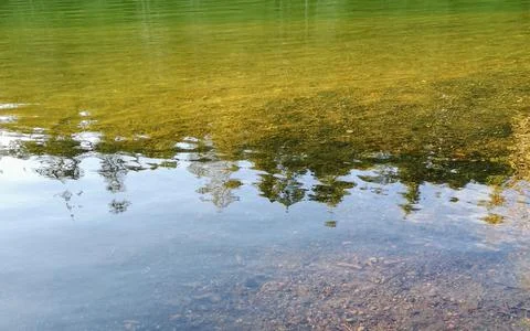 Reflections on a calm river in a forest Stock Photos