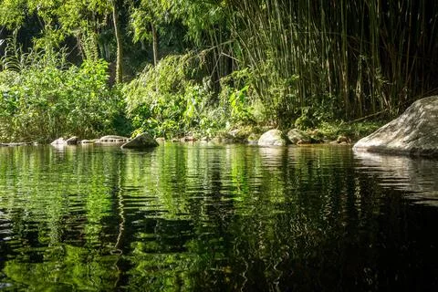Reflections in a Calm River Stock Photos