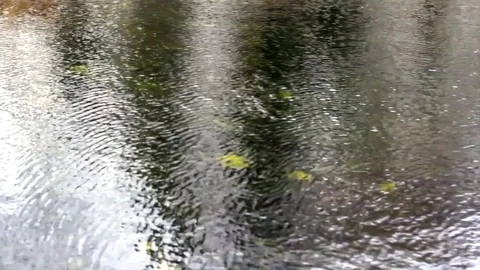 Reflections on a Canal Stock Footage 94140166