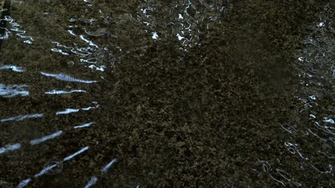 Reflections of Christmas lights in the falling rain Stock Footage 226590485