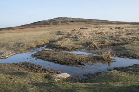 Reflections of a clear sky in a puddle Foto stock