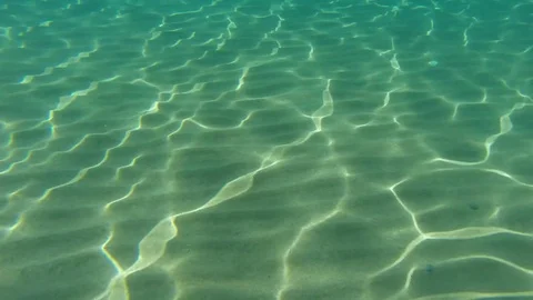 Reflections in the clear water 스톡 동영상 77297777