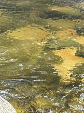 Reflections of Clear Waters Stock Photos