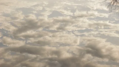 Reflections of cloud and trees on pond in afternoon light 스톡 동영상 98137530